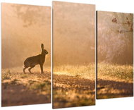 LIOX Painting of a rabbit on a sunny path, 150 × 100 cm, three-piece - Painting