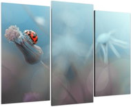 LIOX Painting ladybug in blue macro abstraction, 60 × 40 cm, three-piece - Painting