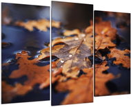LIOX Autumn leaves in the lake, 60 × 40 cm, three-piece - Painting
