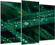 LIOX Macro painting dew on grass, 75 × 50 cm, three-part - Painting