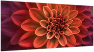 LIOX XL Picture of a daisy flower, 200 × 100 cm - Painting