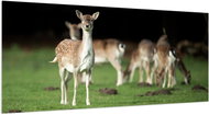 LIOX XL Painting of a deer in a meadow, 200 × 100 cm - Painting