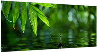 LIOX XL Painting of a drop falling from a leaf, 250 × 125 cm - Painting