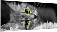 LIOX XL Painting black and white cat, 250 × 125 cm - Painting