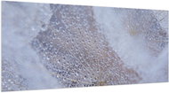 LIOX XL Painting of dew drops on dandelion, 250 × 125 cm - Painting