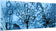 LIOX XL Dandelion in the beauty of drops, 250 × 125 cm - Painting