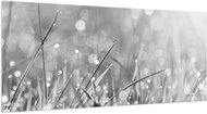 LIOX XL Painting black and white morning dew, 250 × 125 cm - Painting