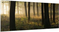 LIOX XL Picture of morning rays in the forest, 300 × 150 cm - Painting