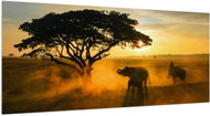 LIOX XL Elephants in safari, 300 × 150 cm - Painting