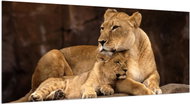 LIOX XL Lion and lioness, 300 × 150 cm - Painting