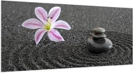 LIOX XL Painting stones and lilies, 300 × 150 cm - Painting