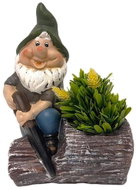 Prodex Trpaslík na pařezu s pilkou obal 26 × 19 cm - New