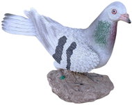 Prodex Holub na kameni 21 × 15 cm - New
