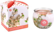 Arôme svíčka 90 g, ve skle, Cherry Blossom - Candle