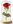 Bear Everlasting rose in glass, red