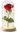 Bear Everlasting rose in glass, red