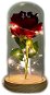 Dekoratívne osvetlenie Medvídárek Svietiaca večná ruža v skle, červená - Dekorativní osvětlení