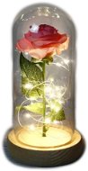 Medvídárek Svietiaca večná ruža v skle – ružová - Dekoratívne osvetlenie