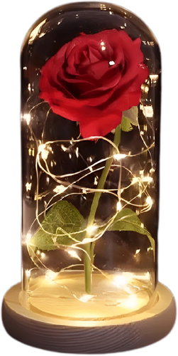 ALUM Eternal Rose - Decorative Lighting - Main image