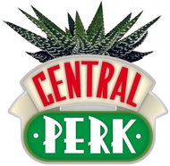 Friends: Central Perk - mini decorative vase - Decoration