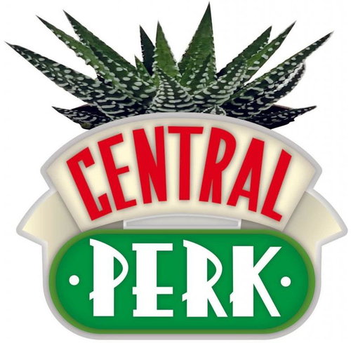 Friends: Central Perk - mini decorative vase - Decoration - Main image