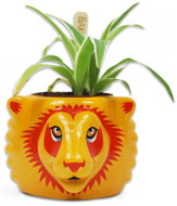 Harry Potter: Gryffindor - decorative vase - Decoration