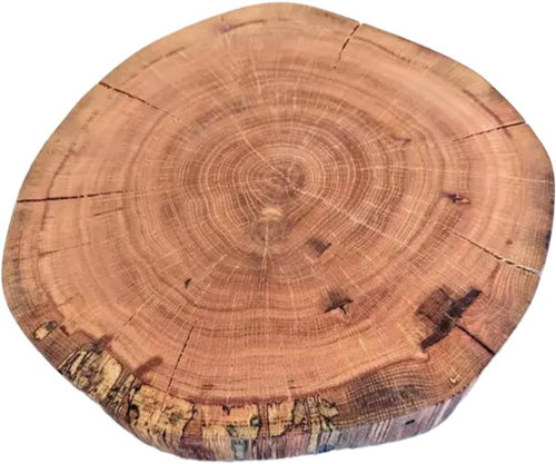 The World of Planks Natural oak mat - Tray - Main image