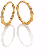HOT DIAMONDS X GOLDEN EDIT Hope DE842 (Ag 925/1000; 3,49 g) - Earrings