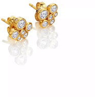 HOT DIAMONDS X GOLDEN EDIT Tender DE851 (Ag 925/1000; 1,3 g) - Earrings