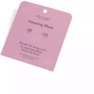 HOT DIAMONDS Silver Whisper SWE006 (Ag 925/1000; 0,61 g) - Earrings