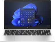 HP 250 G10 Turbo Silver - Notebook