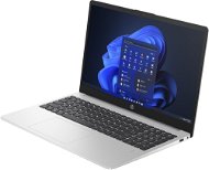 Laptop HP 250 G10 Silver - Notebook