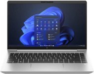 HP EliteBook 640 G10 Silver - Notebook