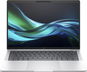 Notebook HP EliteBook 1040 G11 Silver - Notebook