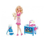 Barbie Ošetřovatelka - Doll