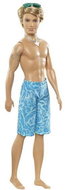 Barbie Plážový Ken - Doll