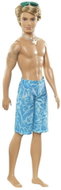 Barbie v plavkách Ken - Doll