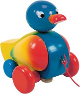 Woody Drawing wooden duck - Push and Pull Toy