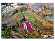 Rýžová pole Čína - Jigsaw