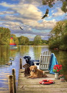 Cobble Hill Puzzle Dog Afternoon, 1000 pieces - Jigsaw Puzzle