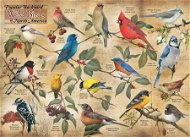 Cobble Hill Puzzle Ptáci ze severoamerických zahrad, 1000 dílků - Jigsaw