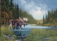 Cobble Hill Puzzle Moose by the lake, 1000 pieces - Jigsaw Puzzle