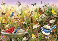 Cobble Hill Puzzle Feathered Friends, 1000 pieces - Jigsaw Puzzle