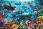 Cobble Hill Puzzle Korálové moře, 2000 dílků - Jigsaw