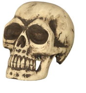 GUIRCA skull 32 cm - Decoration