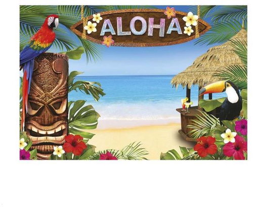 GUIRCA Banner hawaii hawaii aloha 220 × 150 cm - Party Accessories - Main image