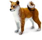 Safari Ltd. Figurka - Shiba Inu - Figurka