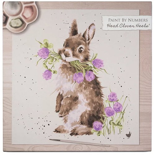 Wrendale Designs Paint by Numbers Rabbit - Painting by Numbers - Main image