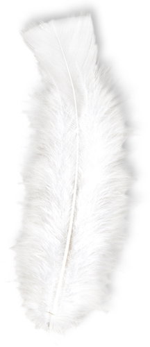 Widmann White decorative feathers 50 pcs - Decoration - Main image