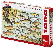 Dino ryby - Puzzle